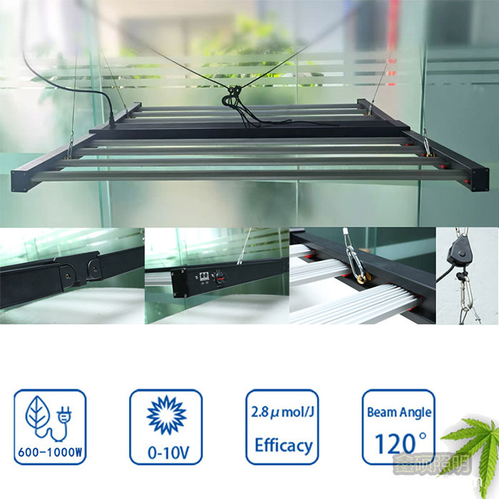 XS-Foldable Octopus 800W